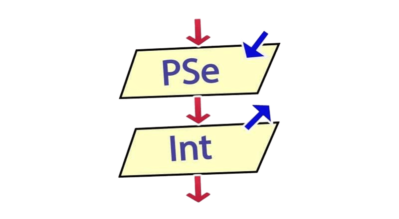 PSeint